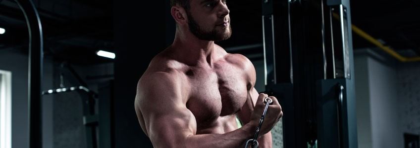 Los mejores tips para conseguir músculo