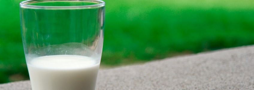 beber leche para recuperar musculo